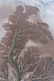 Handheld photo of the Colorado River Delta taken from a paramotor OC x