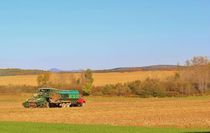 Harvesting Season in Aroostook County Maine 