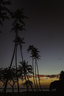 Hawaiian sunset OC