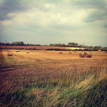 Hay bales in a field Newcastle upon Tyne UK 