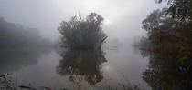 Heavy fog morning on the Murray River Mungabareena NSW Australia 