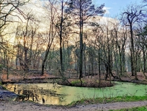Heemstede The Netherlands the smallest lake I have ever seen with a Island in it Groenendaal Forrest  x