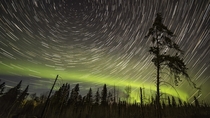 Here are  photos of the aurora stacked to create star trails This shows the rotation of the earth The star close to the celestial pole in the center of the circles is Polaris and is often referred to as the north star 
