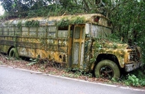 Here lies the magic school bus