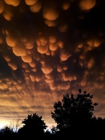 Heres a pic of some clouds after a storm OC x