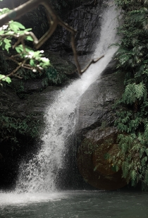 Hidden waterfall in Okinawa Japan  IG  Eddievisuals