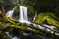 Hidden Waterfalls in beautiful Oregon x OC
