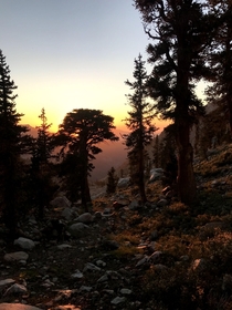 High sierra sunset Sequoia NP CA 