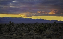 Highway  Sunset in Nevada x OC
