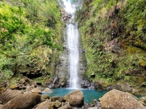 Hiked along the Makamakaole creek in Maui and after climbing up hundreds of feet I was rewarded with this scene 
