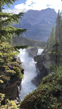Hiked  miles to see this Athabasca Falls Jasper 