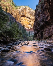 Hiked the narrows in Zion national park this past weekend Did not disappoint     andrewfschorr