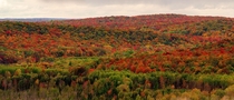 Hiked to Deadmans Hill in Elmira MI last weekend for peak fall colors 
