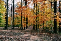 Hiking in Northern Virginia Last Fall 