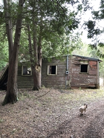 Hiking in the woods behind my house - found this abandoned cottage