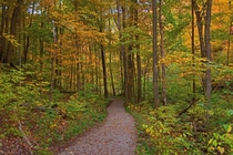 Hiking Trail in Southern Illinois -Fox Ridge State Park- OC 