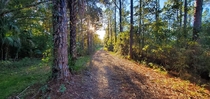 Hiking Trail In Zephyrhills Florida 