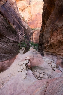 Hiking trail in Zion National Park 
