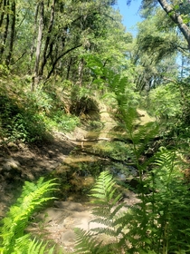 Hiking Trail Jackson CA  