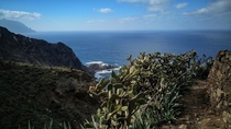 Hiking trails along the coast Tenerife Spain x 