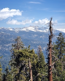 Hiking views in Sequoia National Park CA USA 