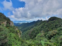 Hills of Langkawi 