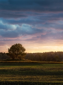 Hillside Sunset on the countryside of Sweden 