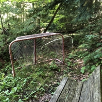 Hockey nets near a pond