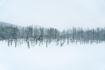Hokkaidos Blue Pond in winter 