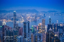 Hong Kong  Cityscape 