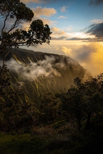Honop Valley N Pali Coast State Park Kauai   Photographer Mikey Gribbin