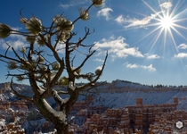 Hoodoos of Bryce Canyon Utah  westaperture