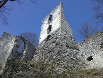 Hope this counts Just one of many castle ruins in Slovakia