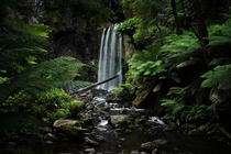 Hopetoun Falls - Victoria Australia 