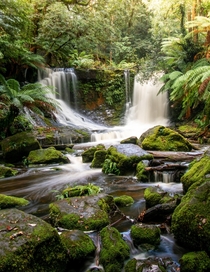 Horseshoe Falls on the West Coast of Tasmania x OC