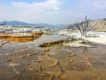 Hot spring in Yellowstone  x