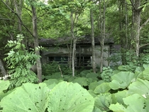 House in the woods Hokkaid Japan