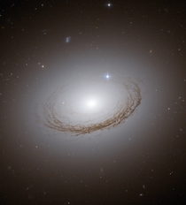 How was this unusual looking galaxy created No one is sure especially since it looks so strange Spiral galaxy NGC s appearance is due to an unusually prominent dust ring seen mostly in silhouette The ring is much darker than the din of millions of bright 