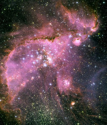 Hubble image of NGC  - a brilliant star cluster located in the center of the Milky Ways Small Magellanic Cloud Looks like a big pink bear in space 