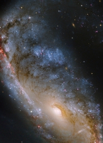 Hubble image of the Meathook Galaxy NGC  