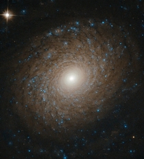 Hubble spots a picture-perfect spiral galaxy in Ursa Major