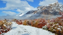 Huemules Valley Snowstorm with Beech Trees in Fall Color Argentinian Patagonia OC 