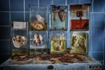 Human remains in an abandoned Dr Surgery 