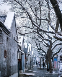 Hutong street covered in snow in Beijing