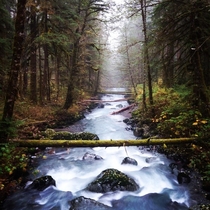 I also took a picture of Park Creek near Mt Baker 
