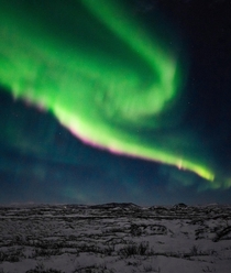 I am addicted to these northern lights A lucky night in Iceland   - more of my northern lights at insta glacionaut