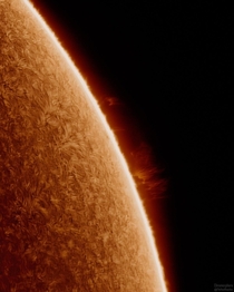 I captured this ultra-detailed look into the atmosphere of our star with a backyard solar telescope 
