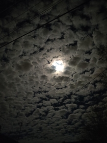 I dont have the best angle or phone camera but these beautiful and fluffy clouds surrounding the moon made me happy I wanted to share them with yall