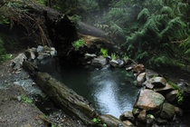 I found some relaxing seclusion in the Olympic Hot Springs near Port Angeles WA 