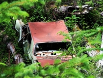 I found this car along a Forest Service road in E King County WA